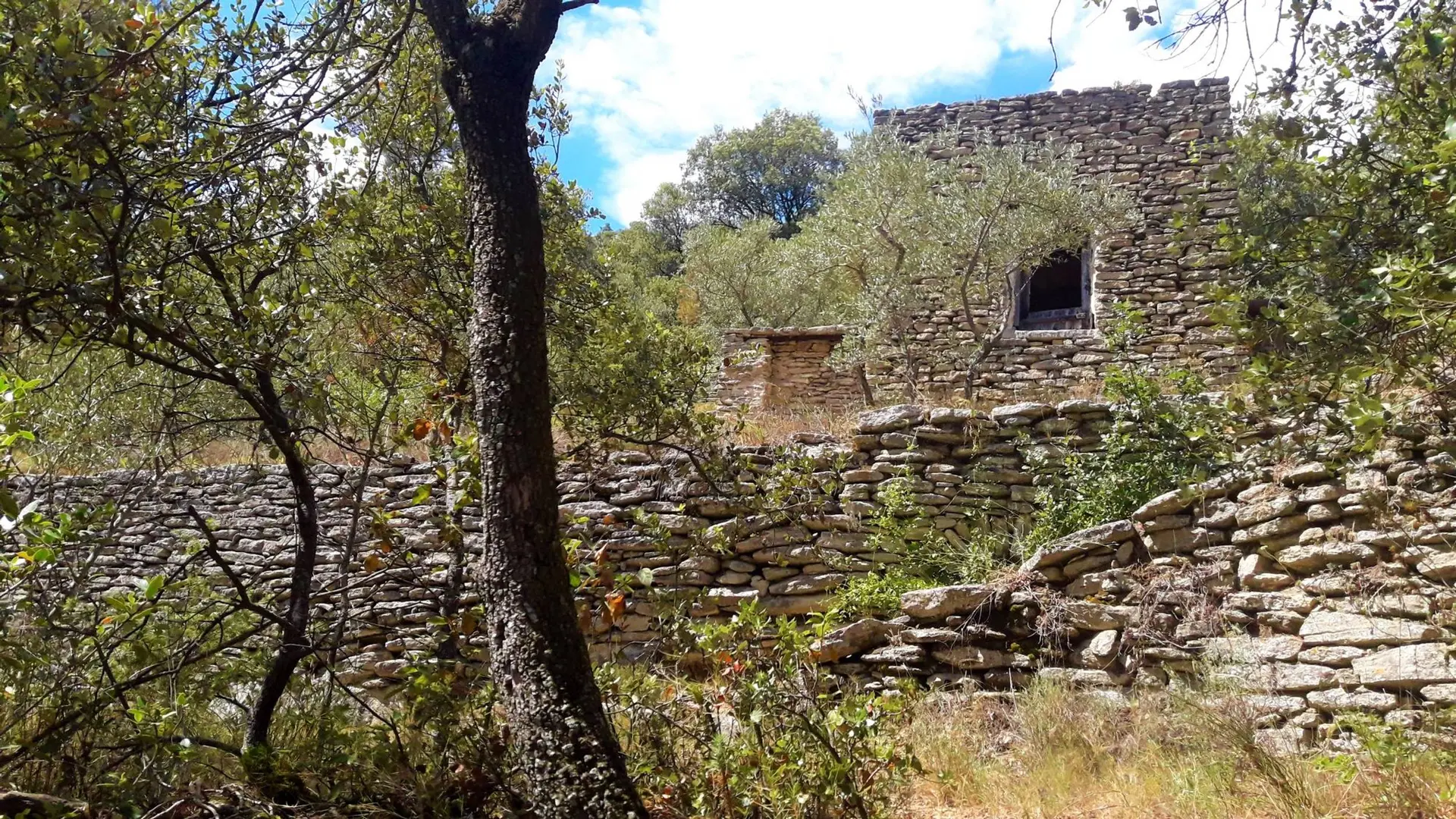 Conservatoire des terrasses de cultures