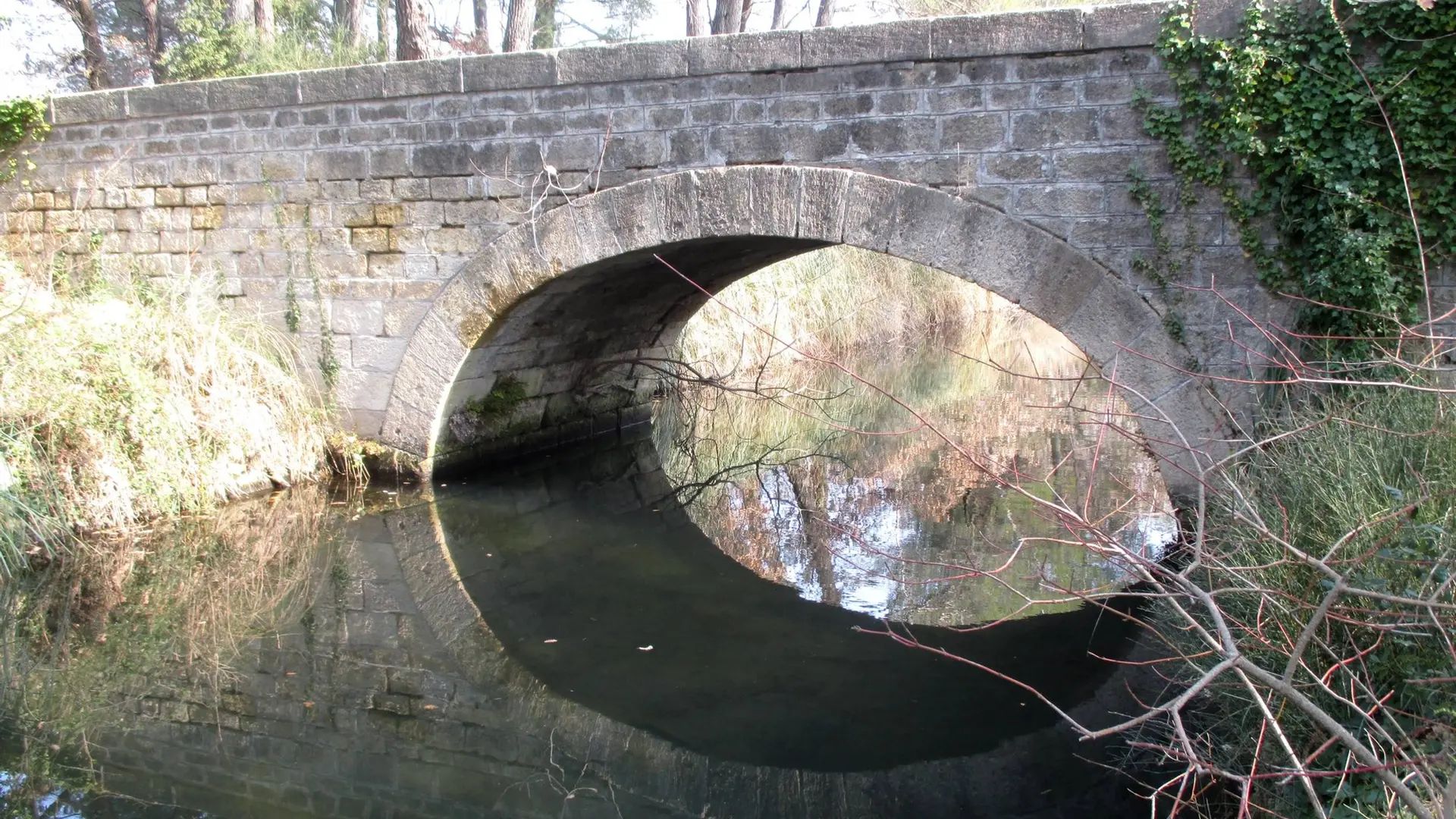 Pont sur le Vieux canal