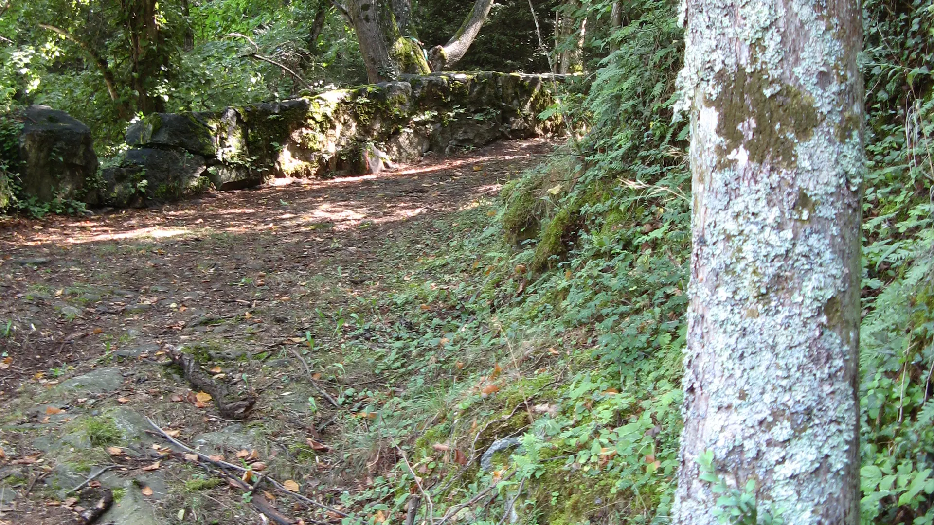 Sentier d'interpretation