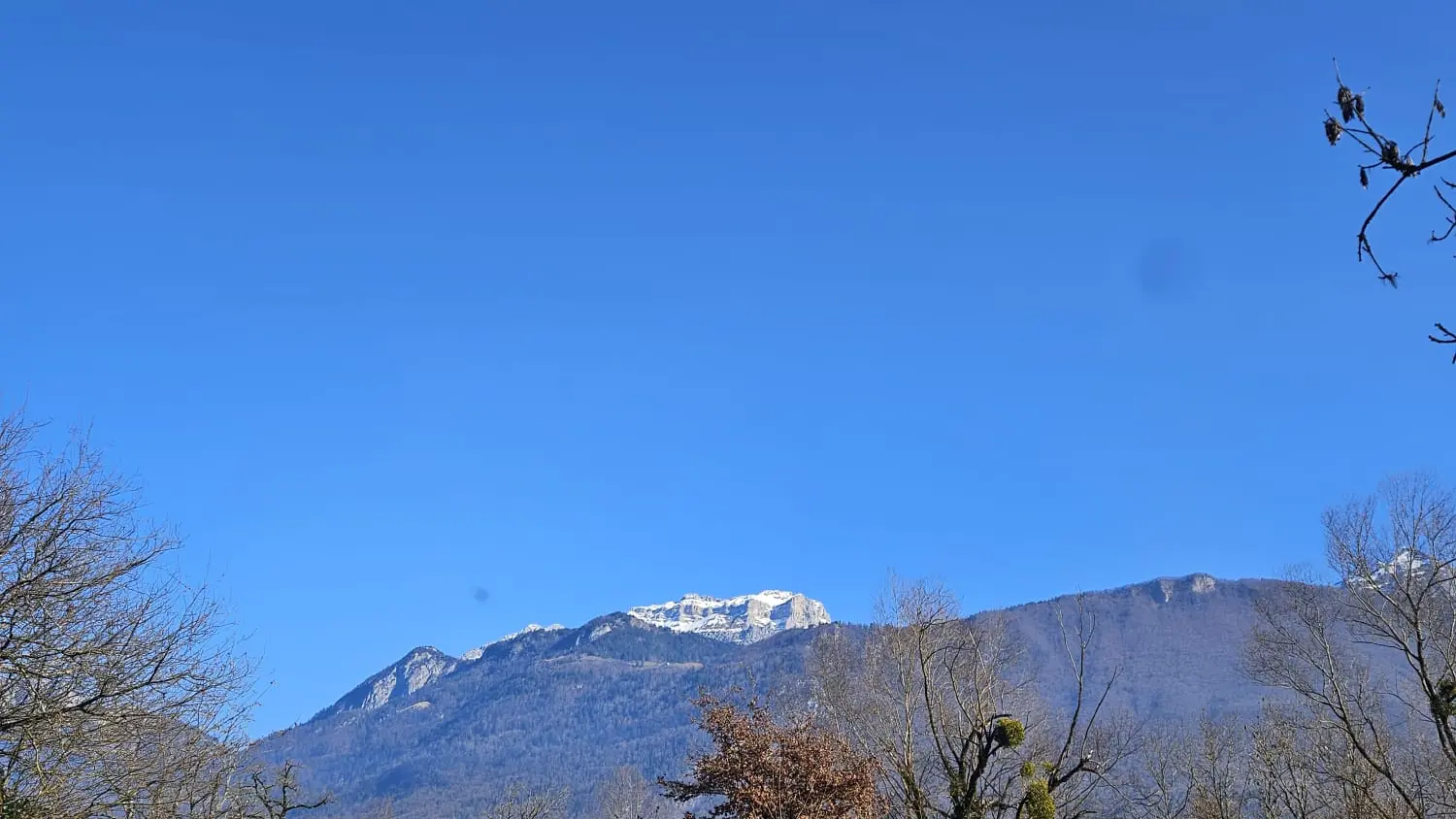cabane en bois dans la nature et montagnes en fond