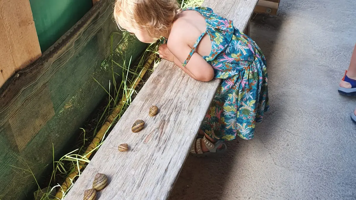 La Ferme Aux Escargots