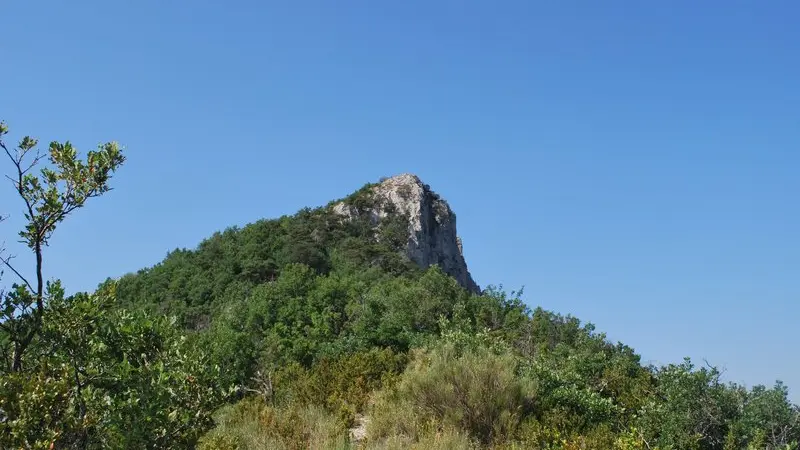 Vue depuis le sentier sur la Montagne du Risou