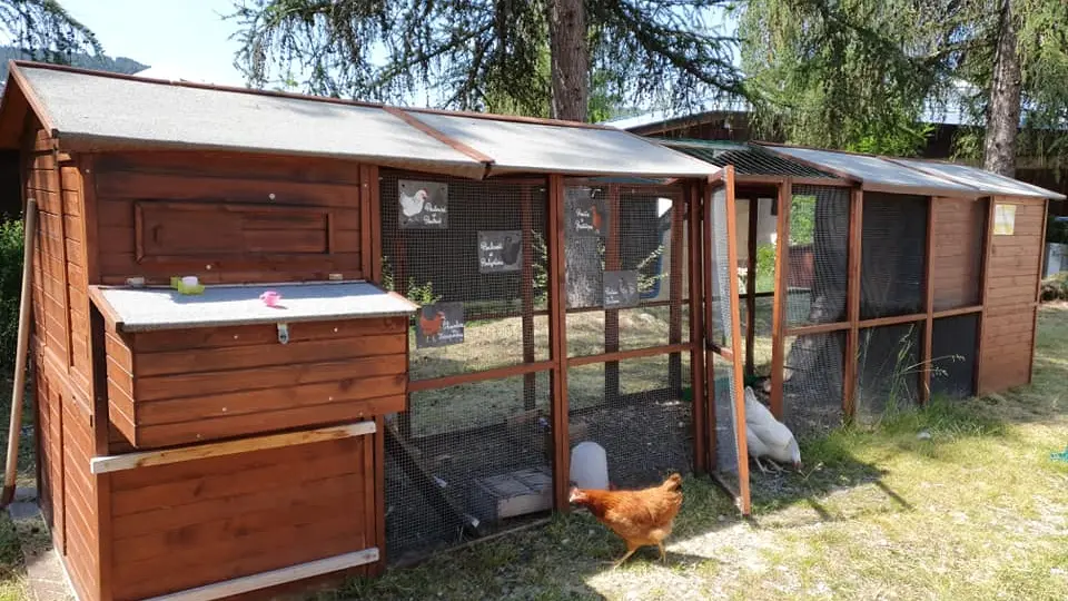 Centre de vacances La Martéguale - poulailler