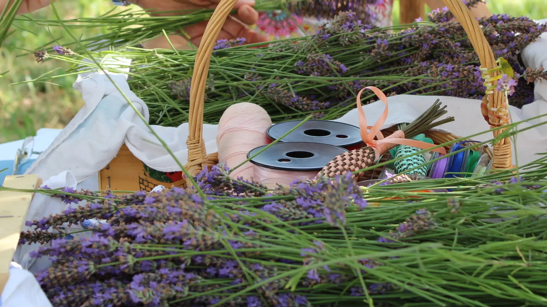 La Provence en Bouteille