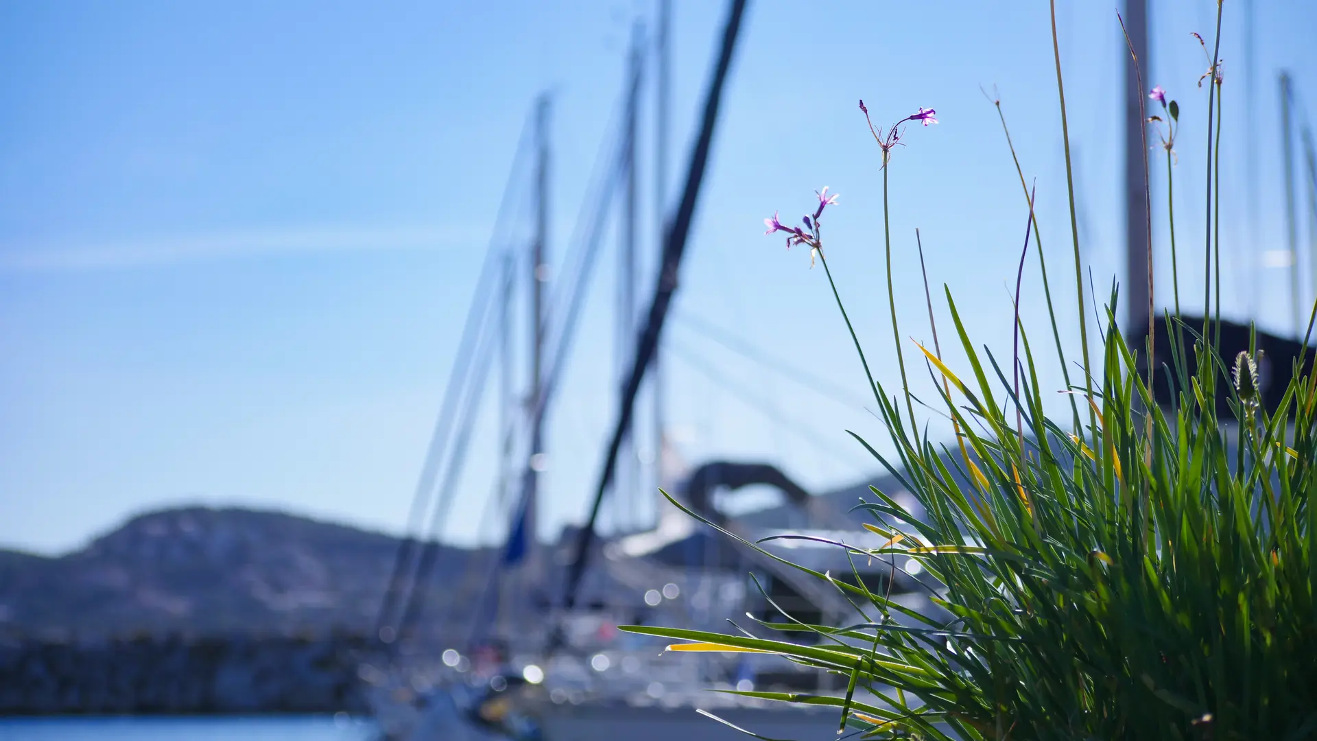 Nouveau port des Lecques