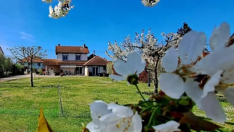 terrain pendant le printemps