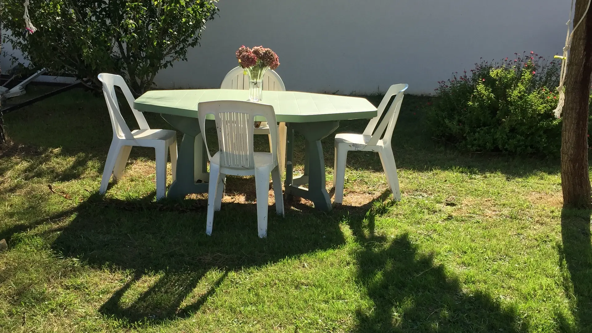 jardin verdoyant avec salon de jardin