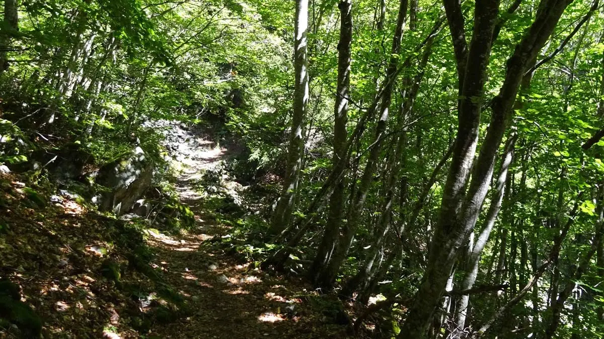 Itinéraire de randonnée jusqu'à la Cabane de Peyron roux