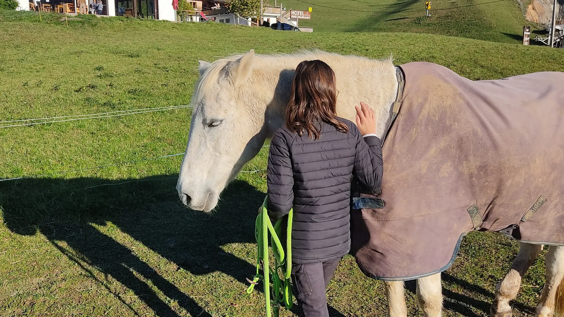 Approche du cheval