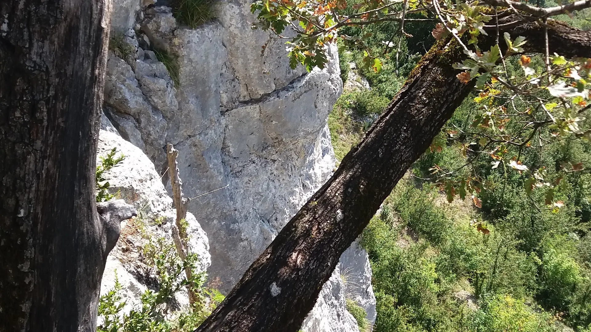 Roches du Jarbonnet