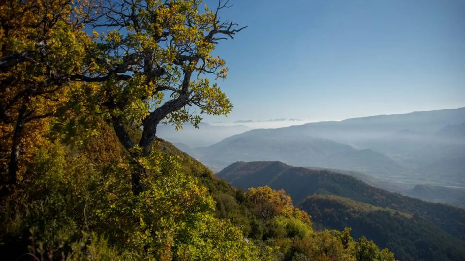 Roc de l'Aigle - 1219 m