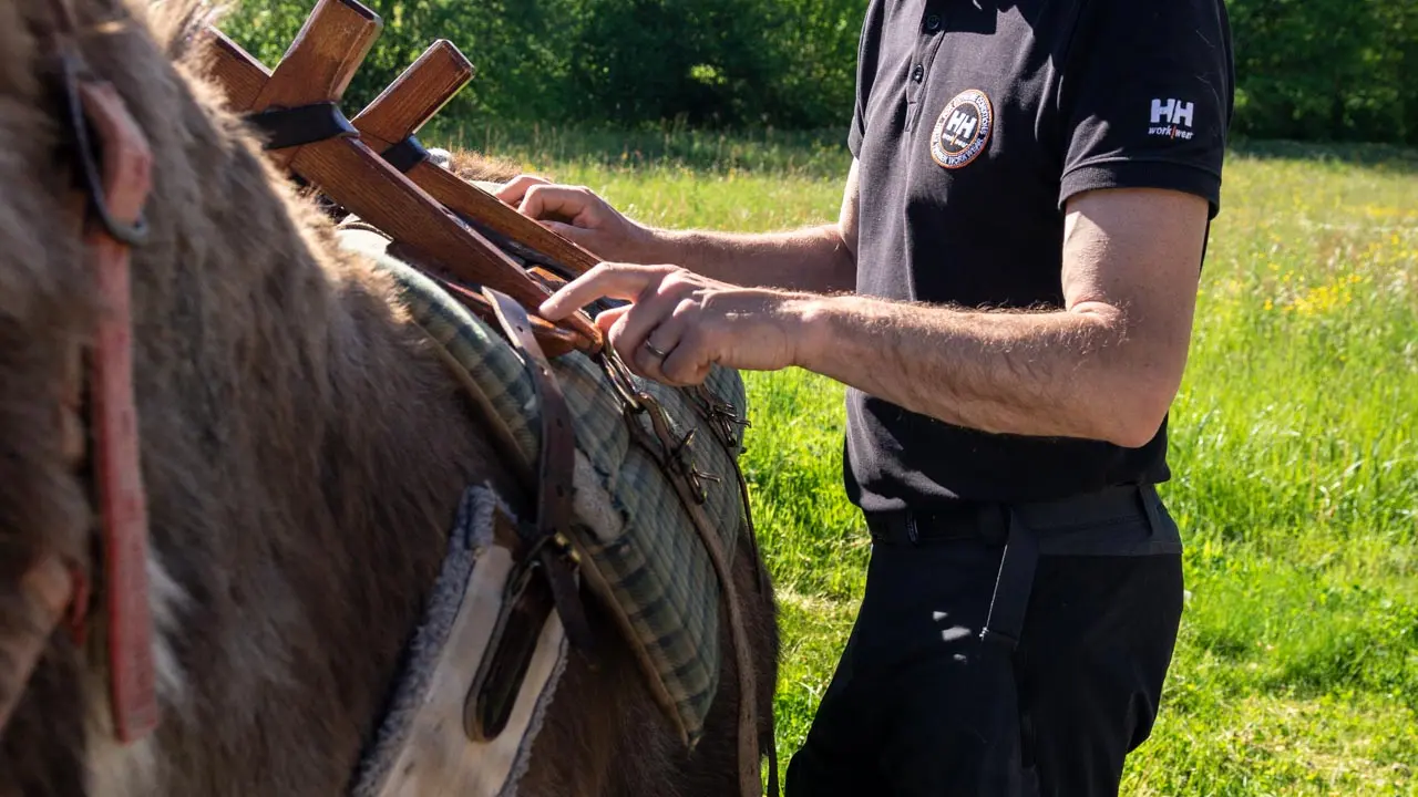 Rando âne Les Genti'ânes