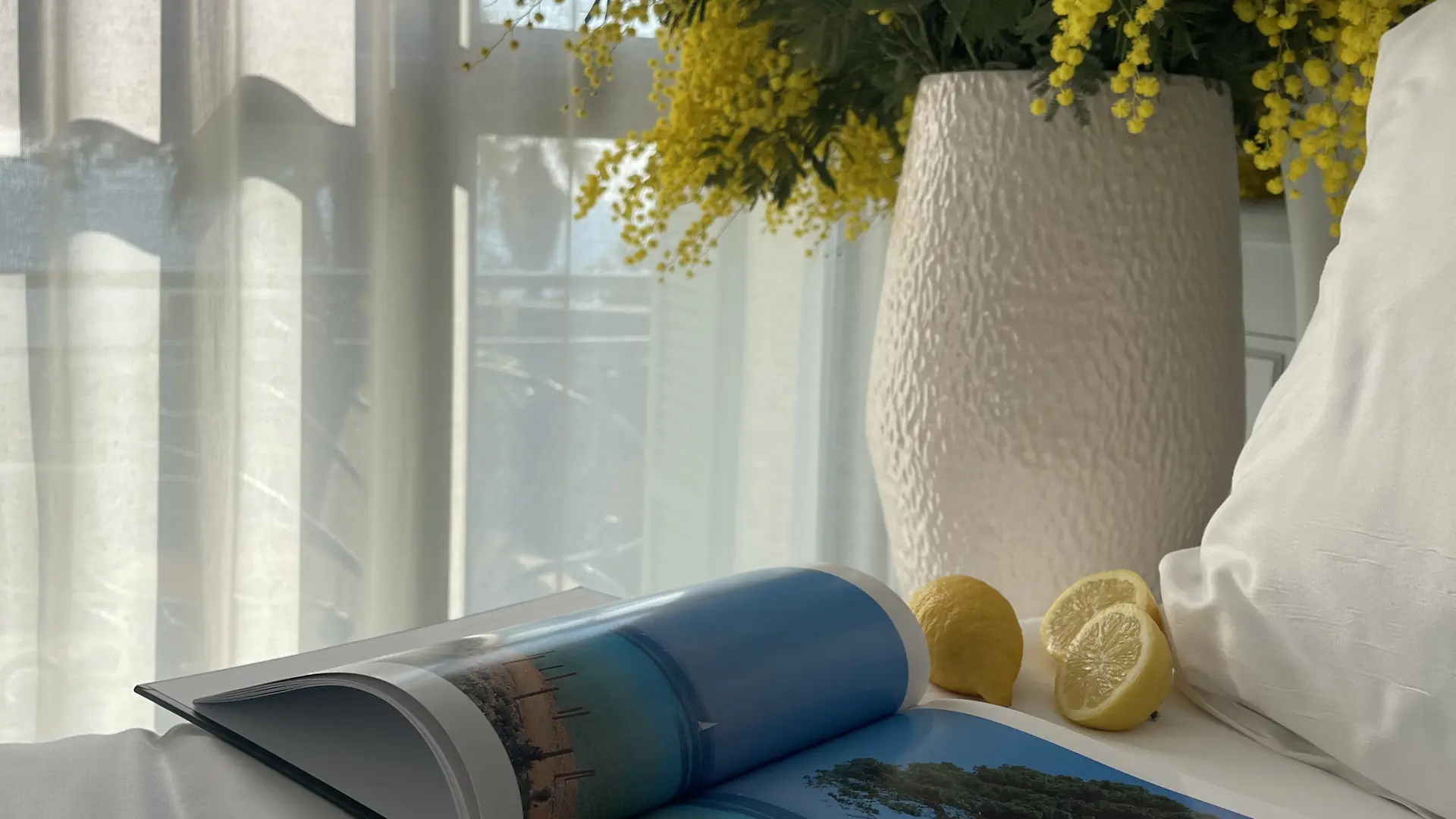 Accueil Route du mimosa