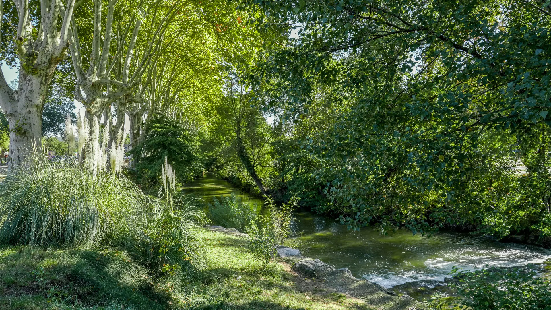 Berge du Caramy_Brignoles