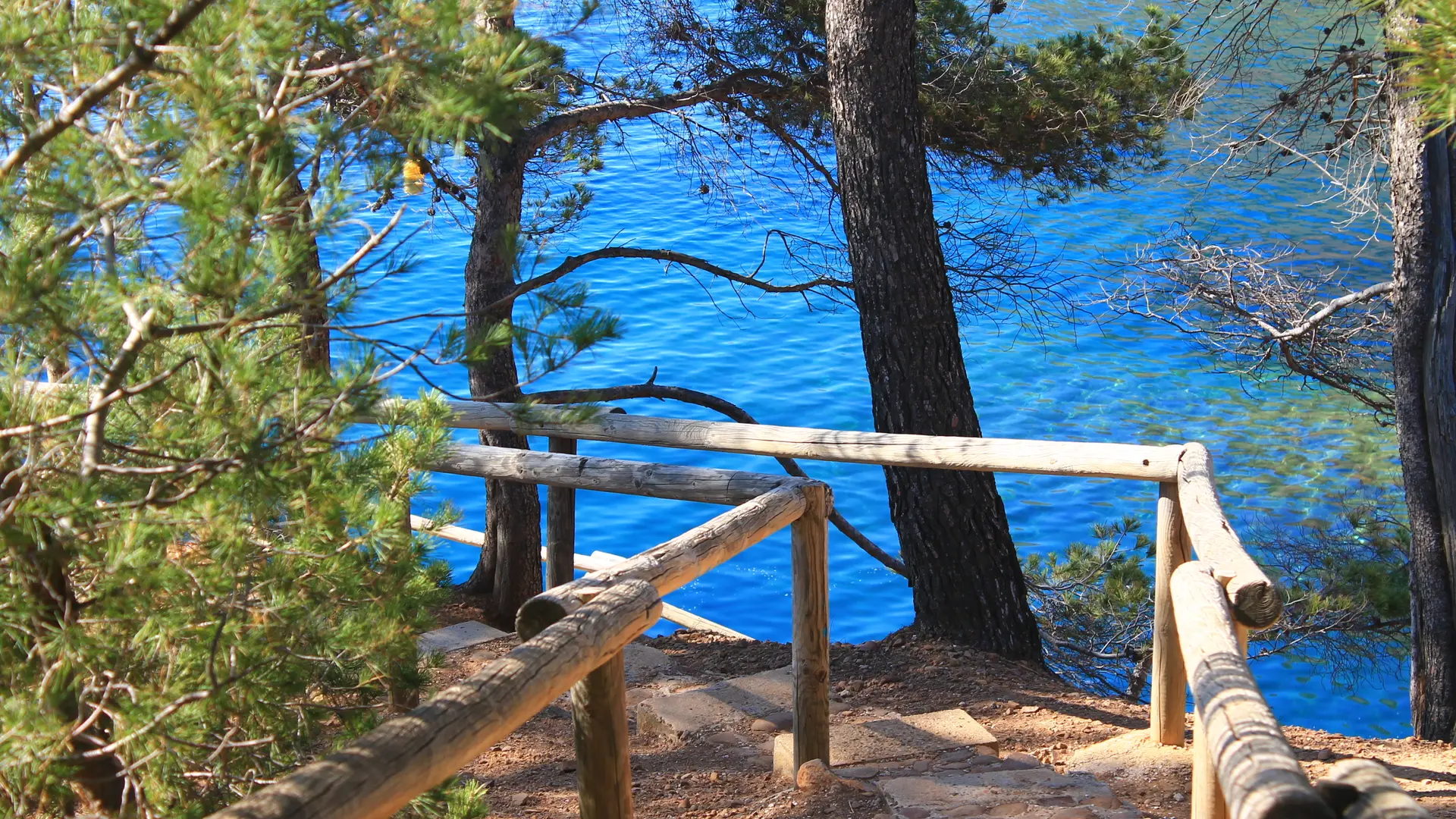 Découverte des Calanques