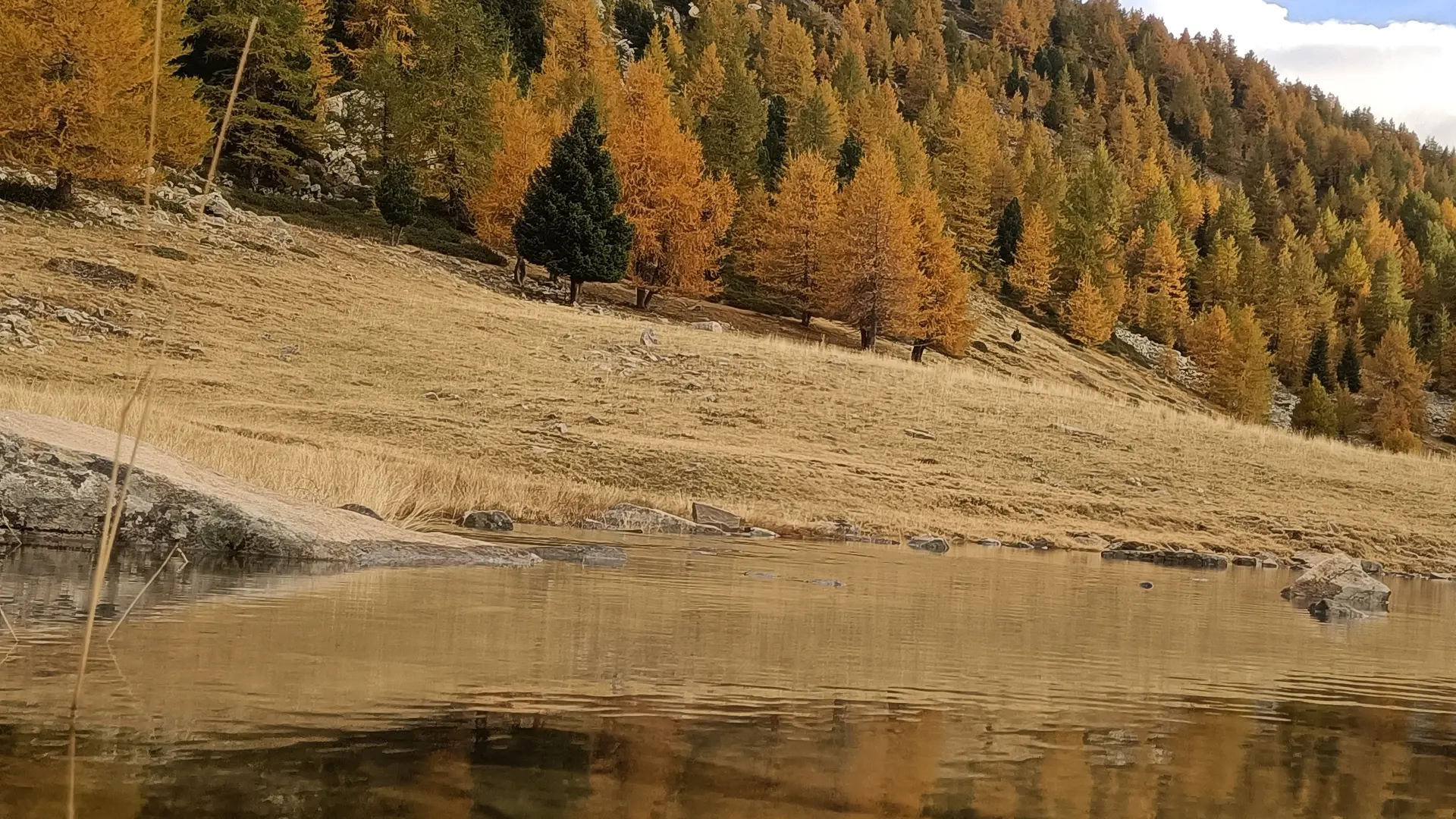 reflet d'automne dans le lac