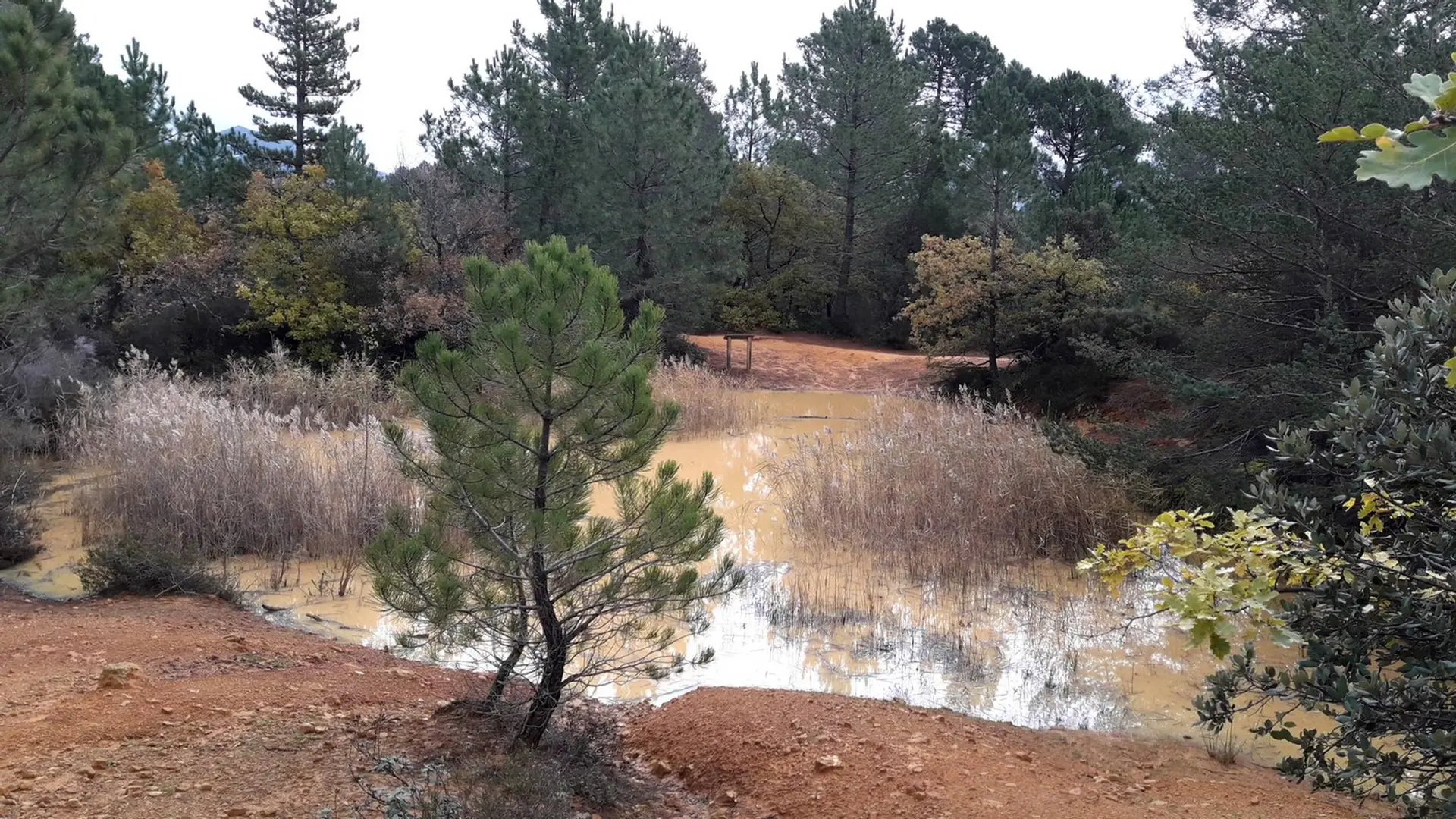 Marre du Trou des Américains