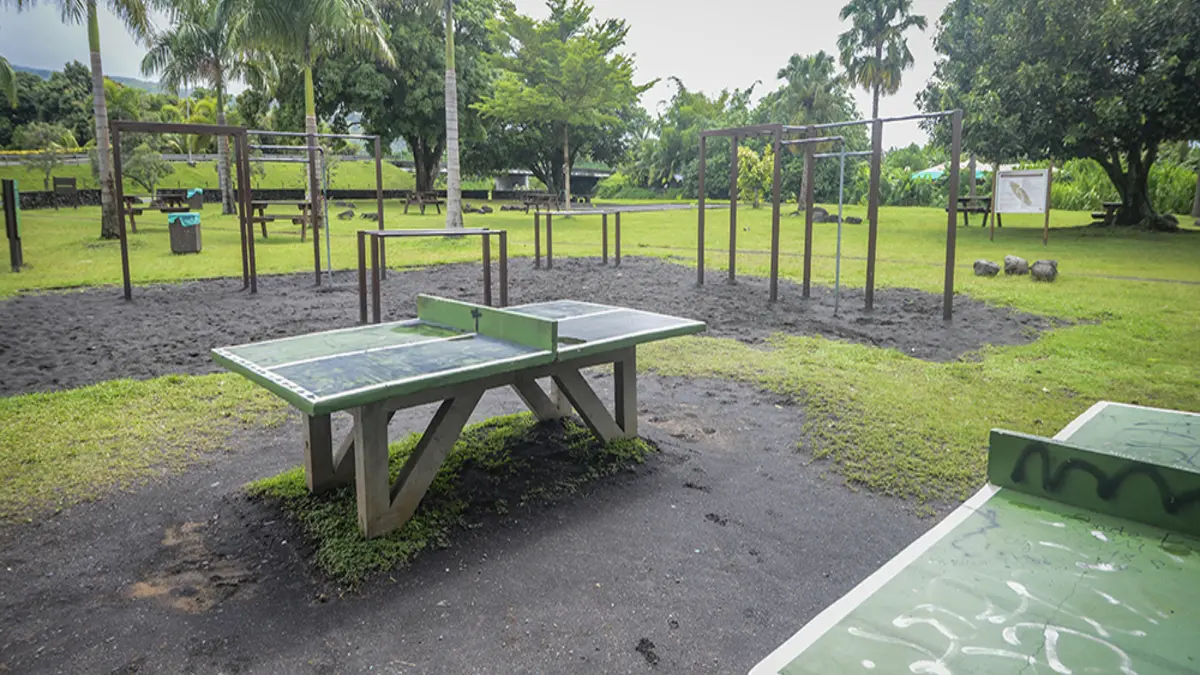 Table de ping pong