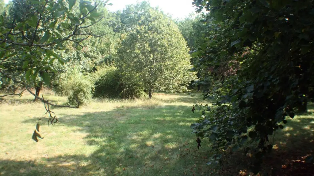 La petite maison du Bosc - jardin
