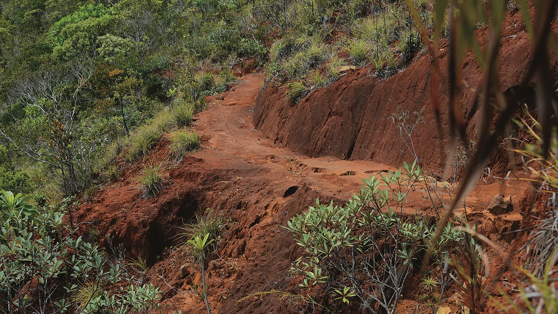Montée vers la mine