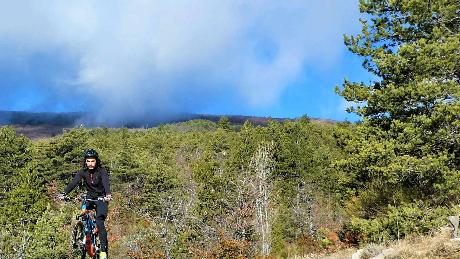 Belle piste forestière