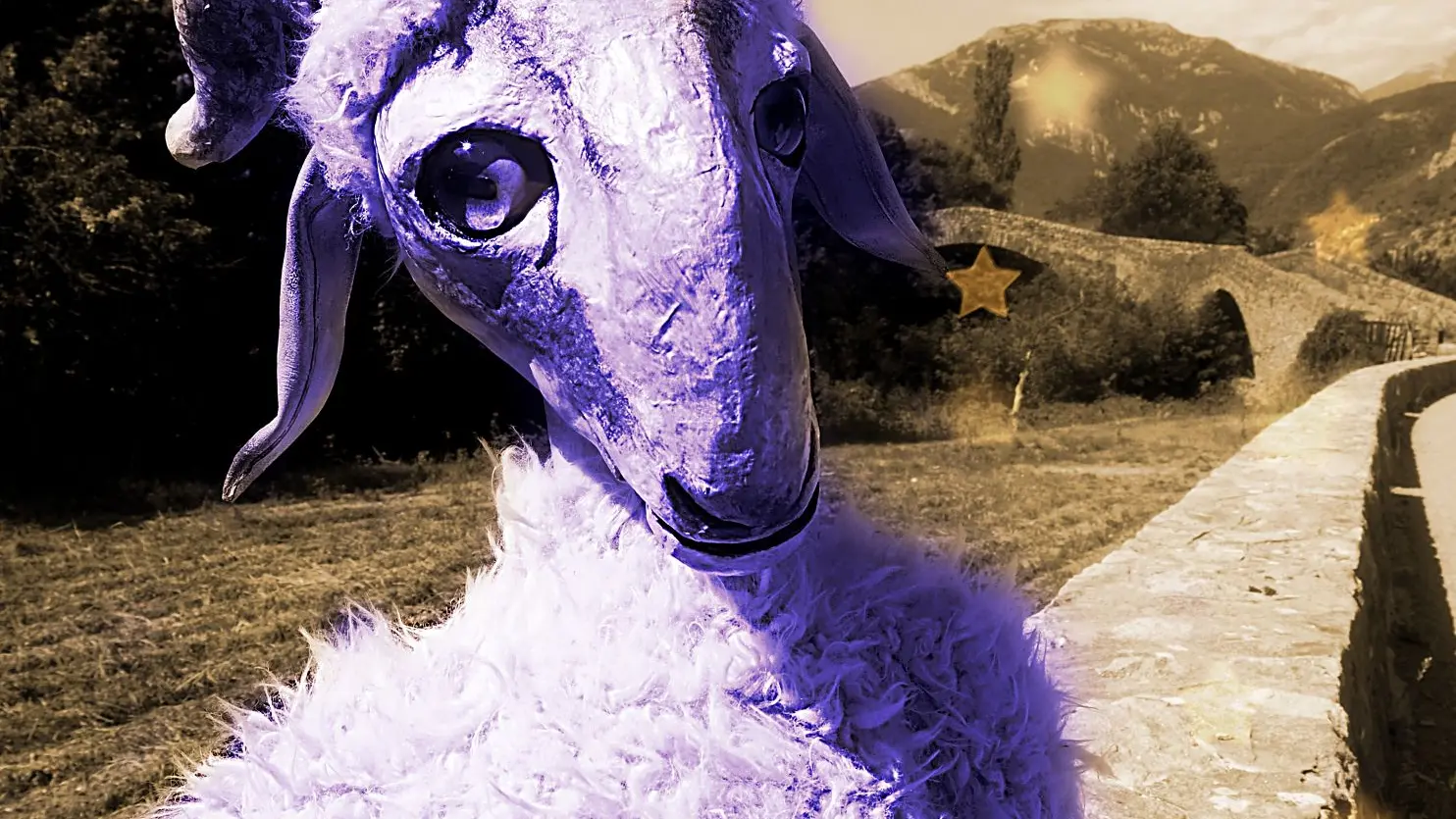 The One Brebis Show - Clotilde la brebis brigasque