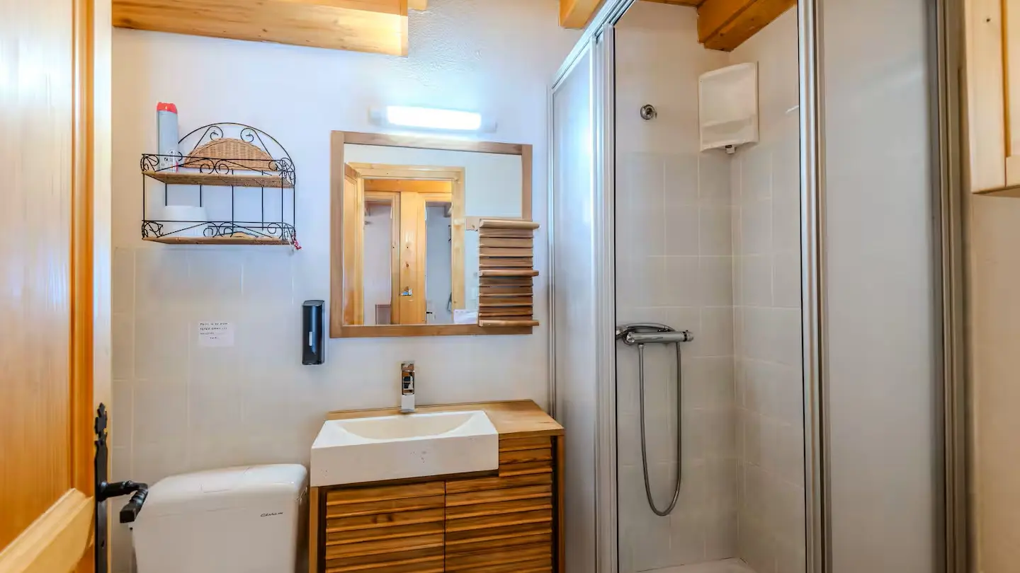 salle de bains avec douche et wc