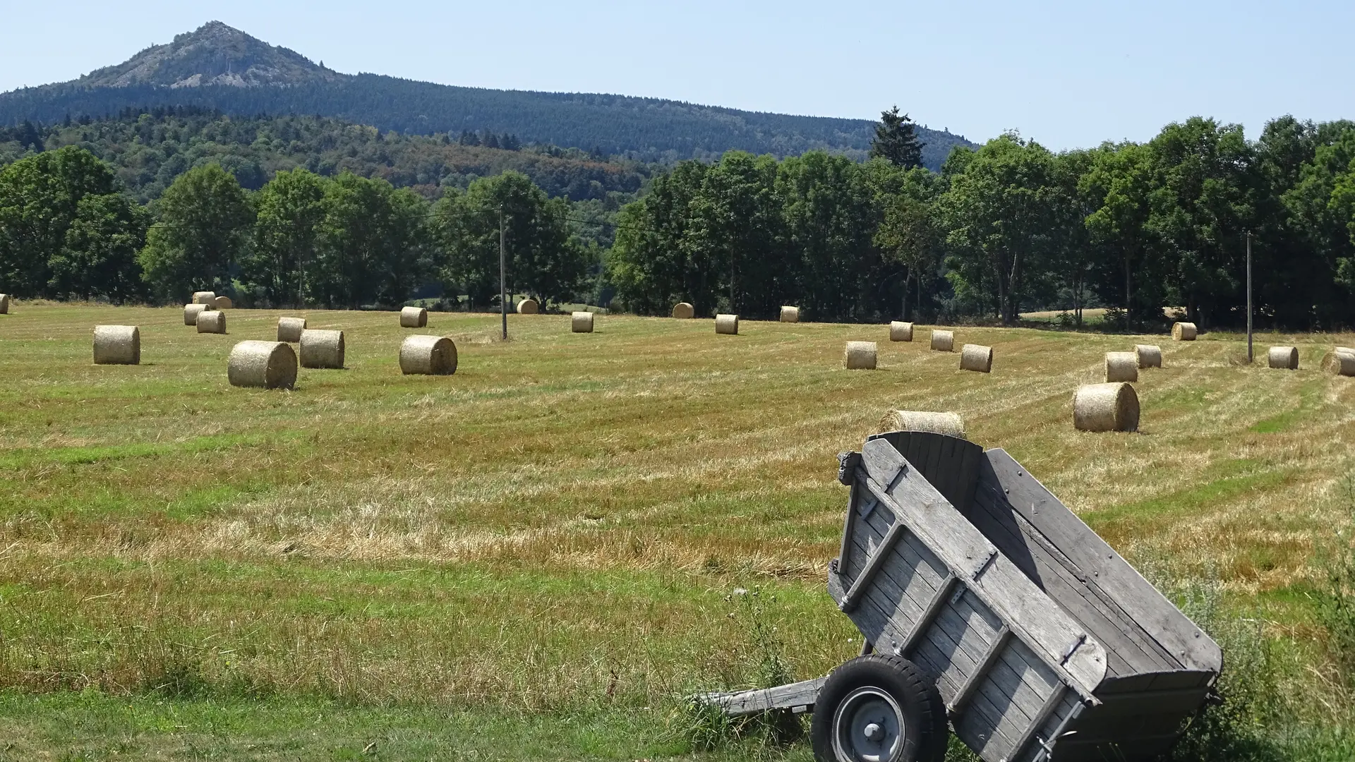 vue depuis la terasse