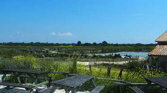 Vue depuis la cabane ostréicole