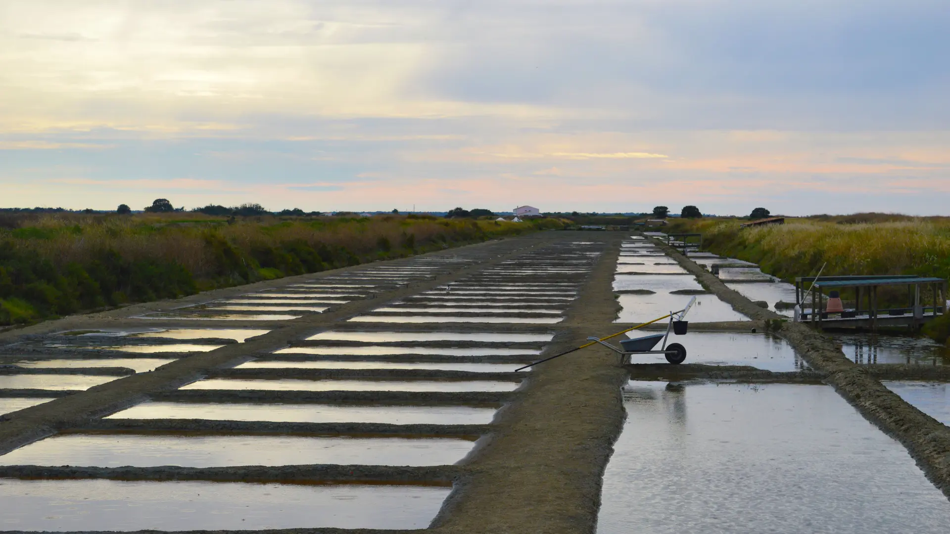 Marais salants de Loix au coucher de soleil