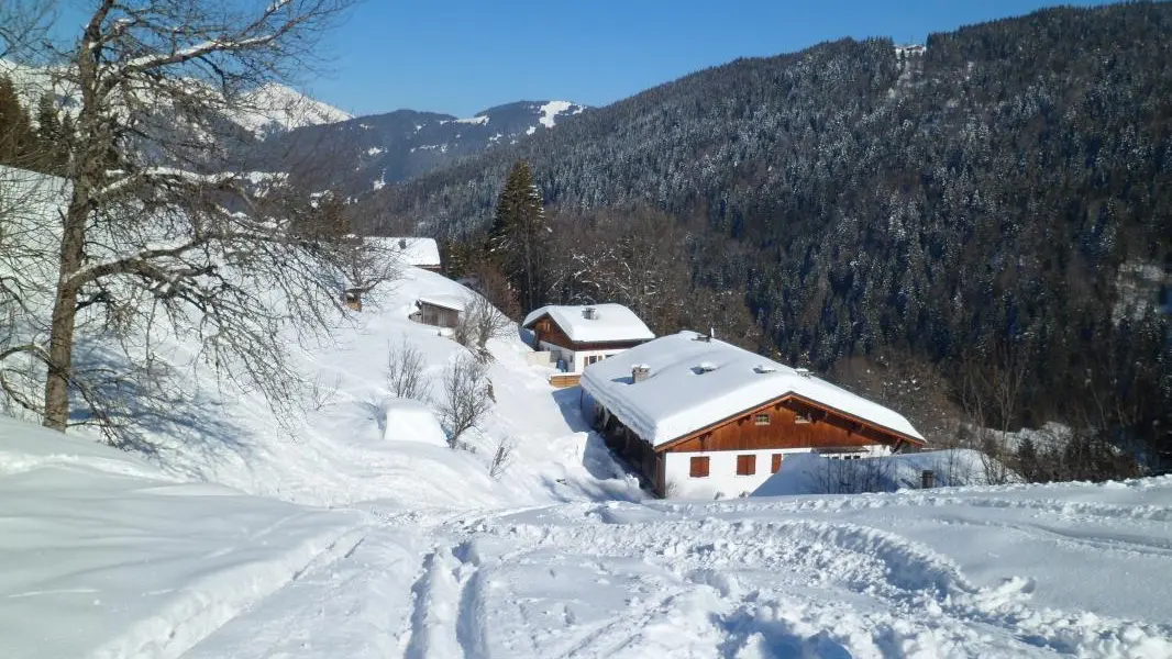 Arrivée en ski à l'appartement