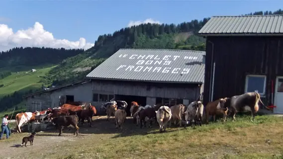 Chalet des Bons Fromages