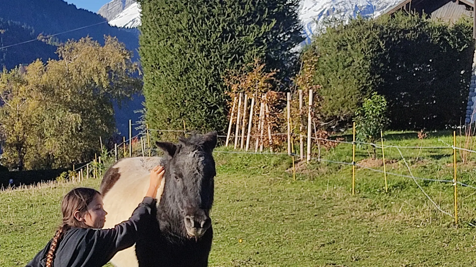 Approche du cheval