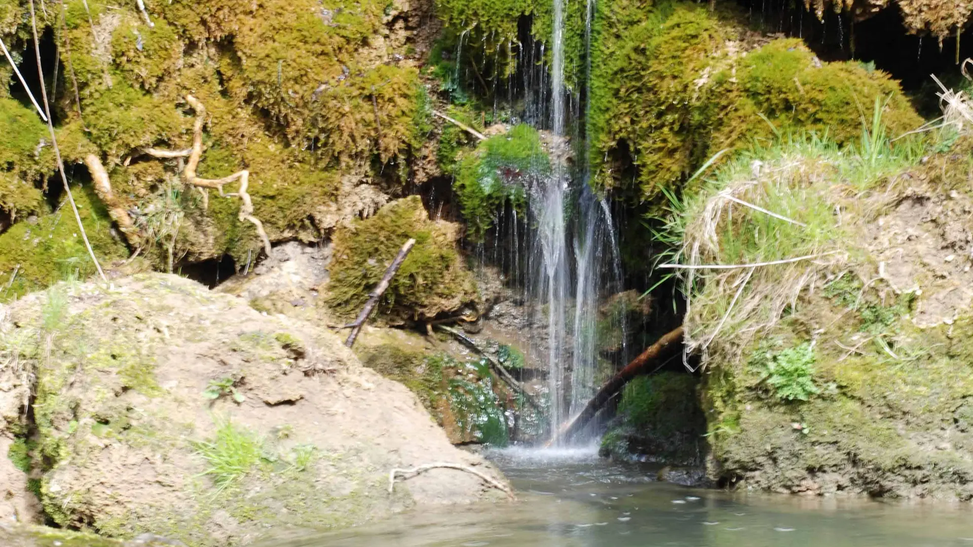 Curiosité naturelle