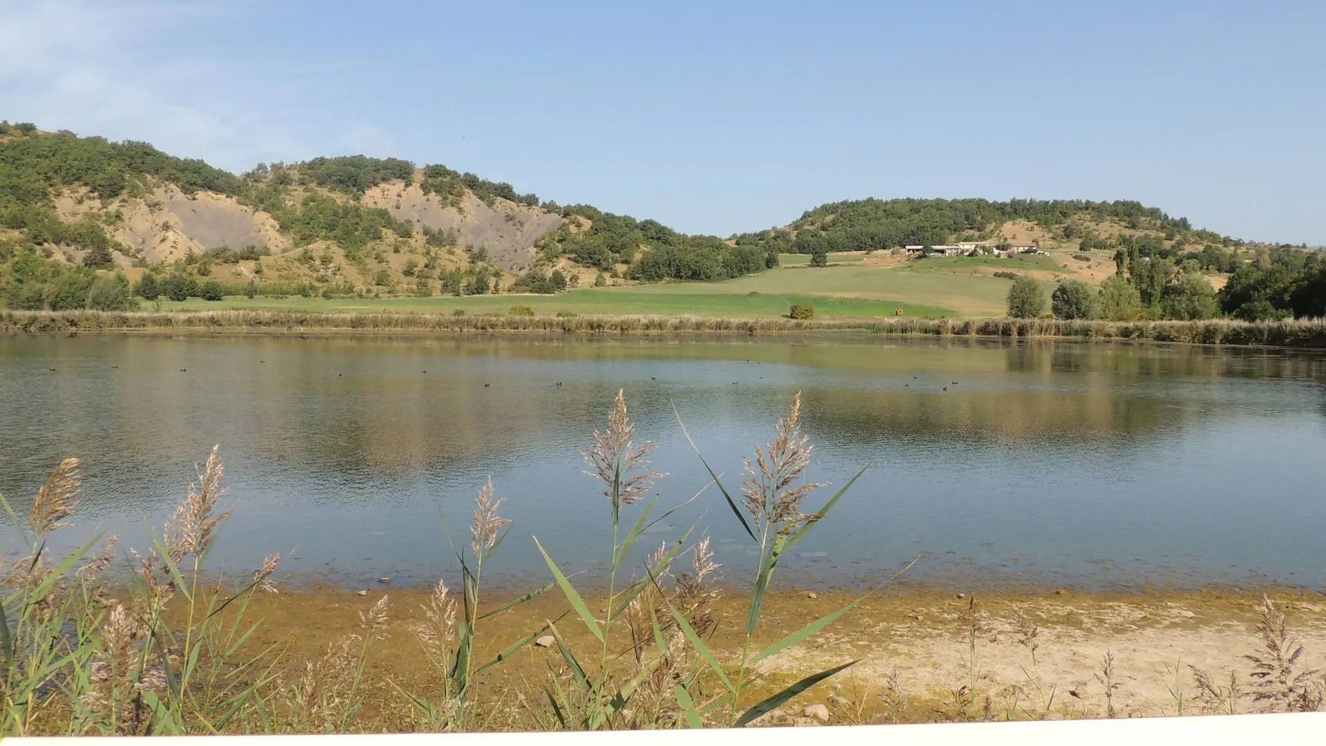 Au bord du lac de Mison