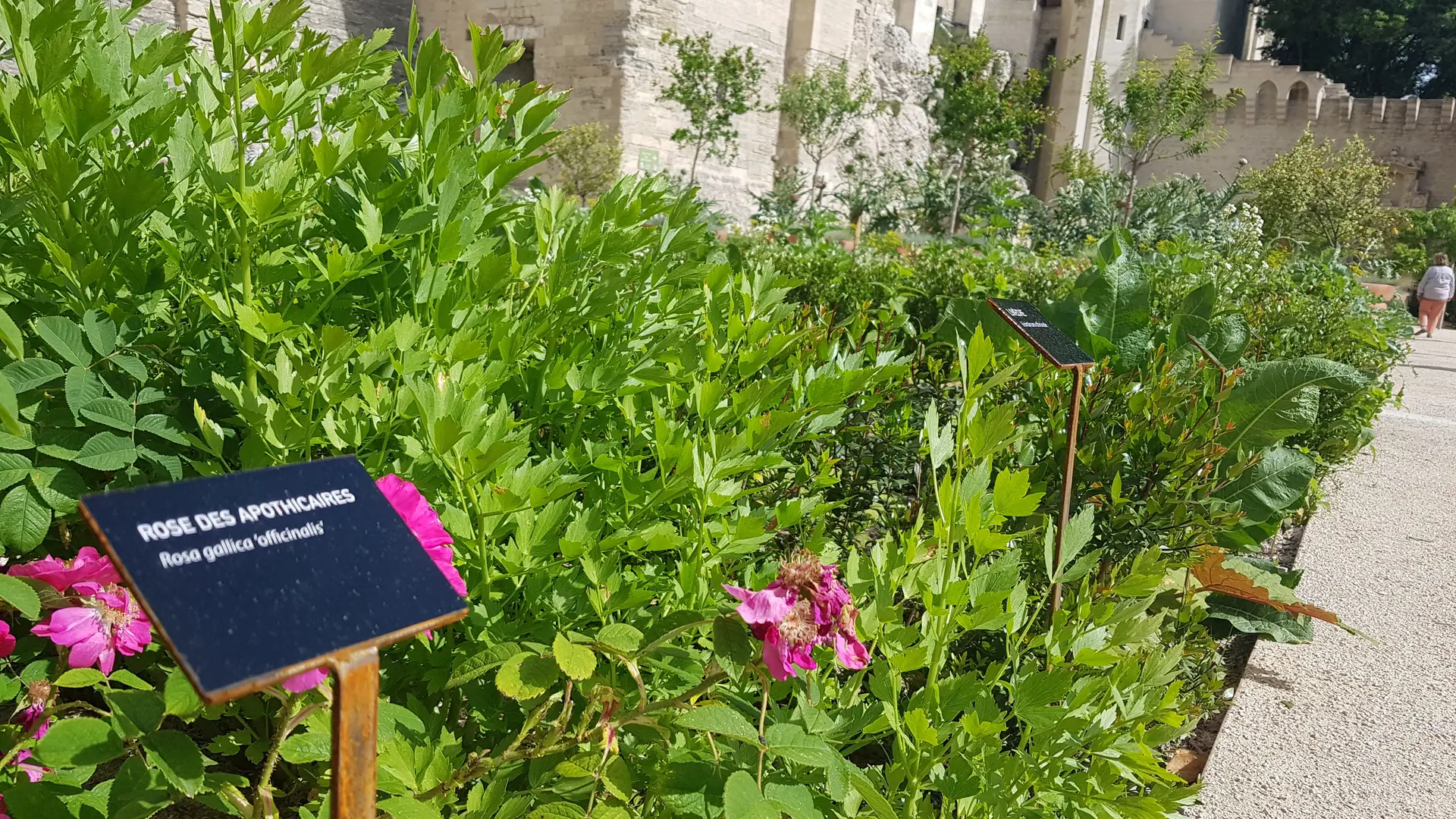 Jardins du Palais des papes