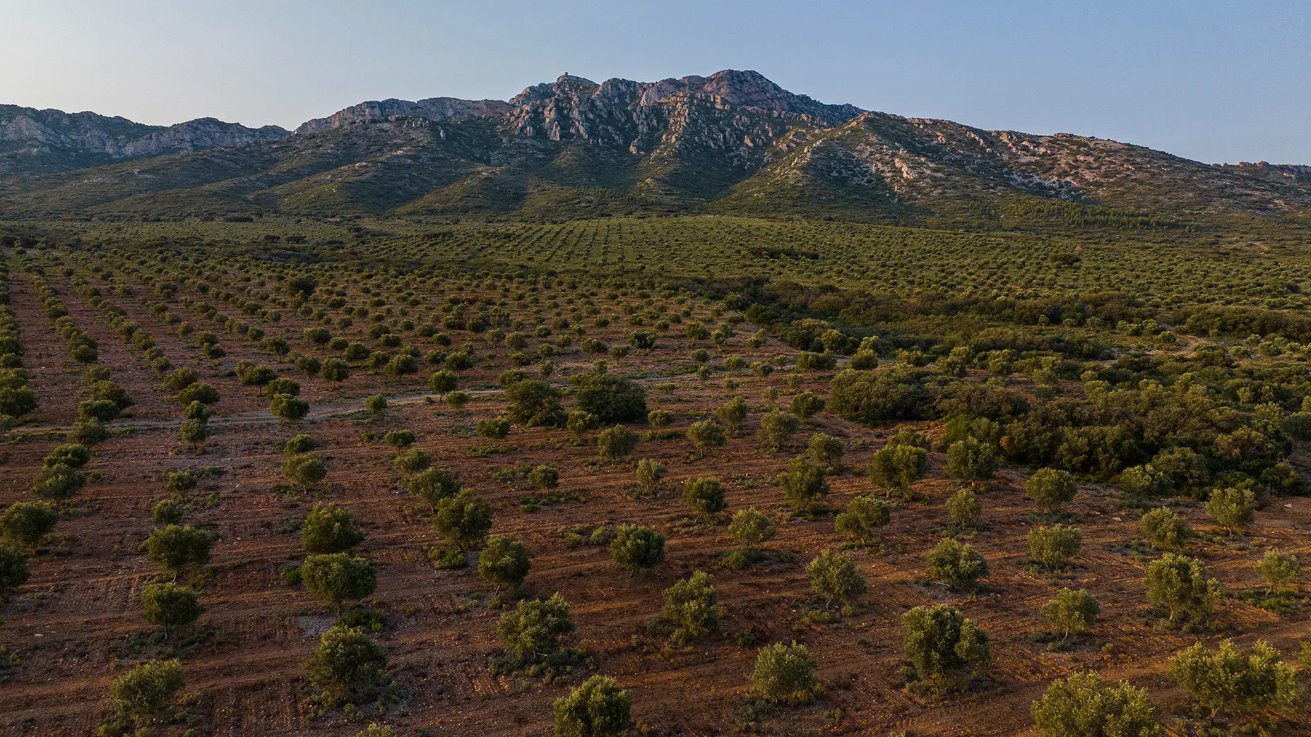 Domaine Jòlibois_Aureille