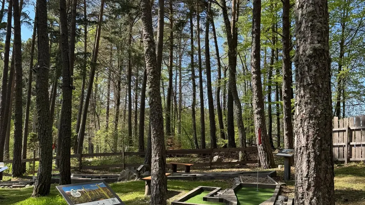 world mini golf en forêt