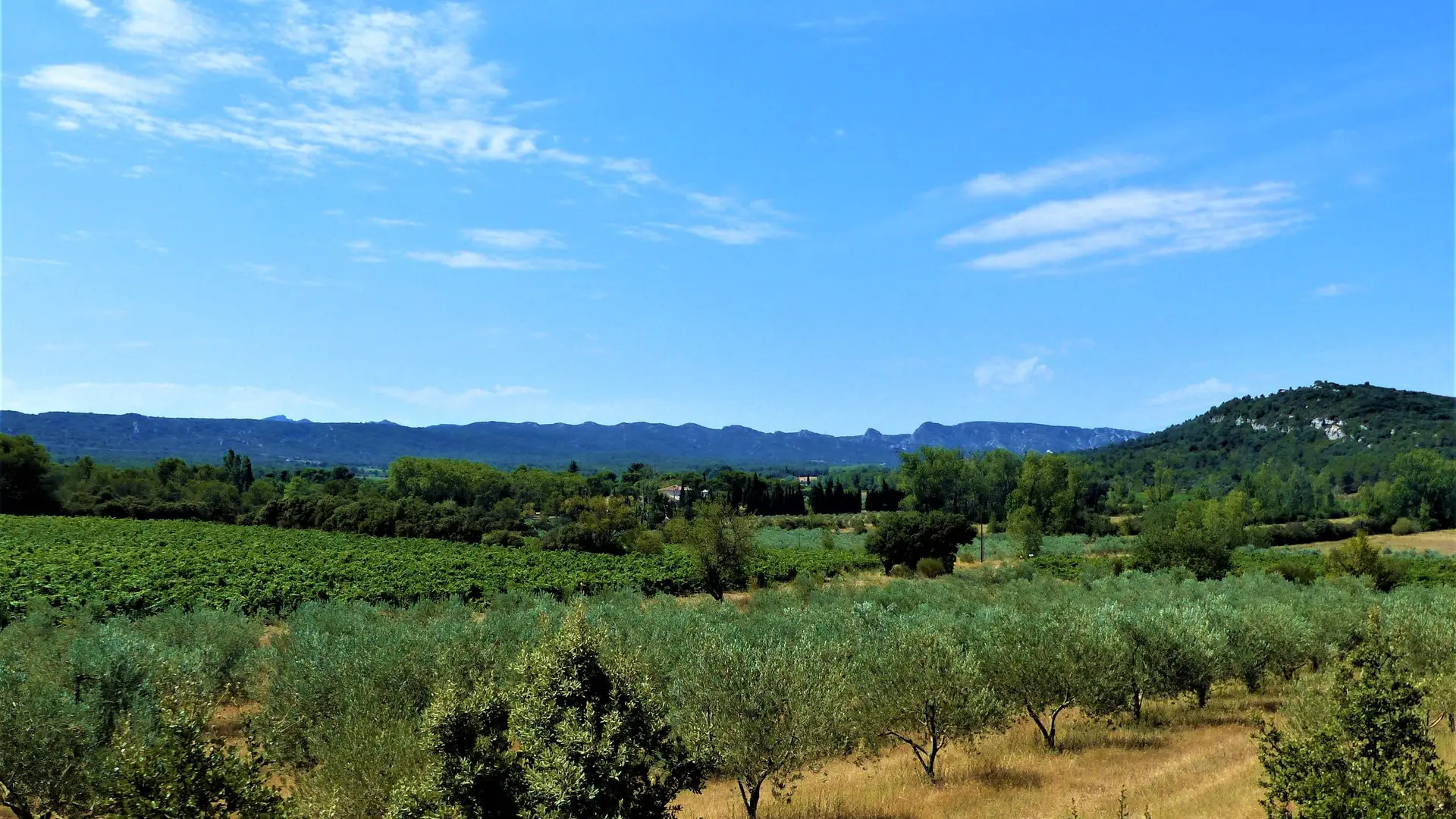 Vue sur Valdition et les Alpilles