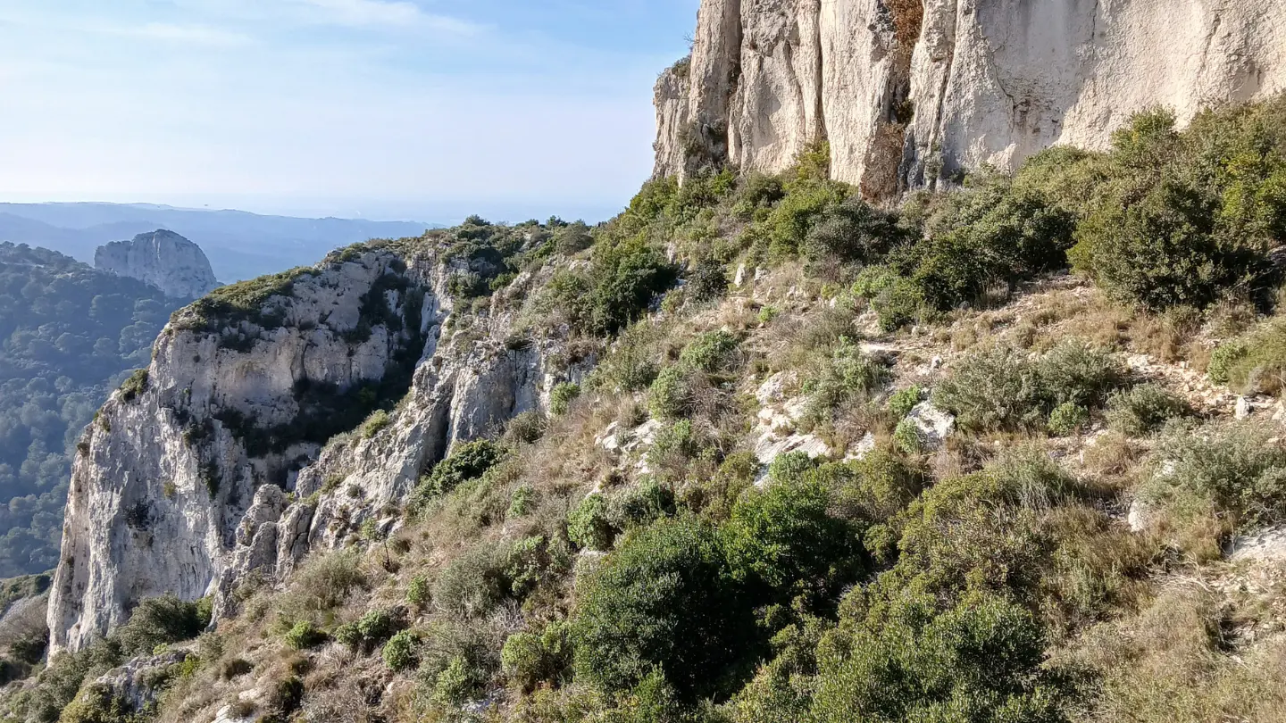 The Eagle Pass_Saint-Rémy-de-Provence