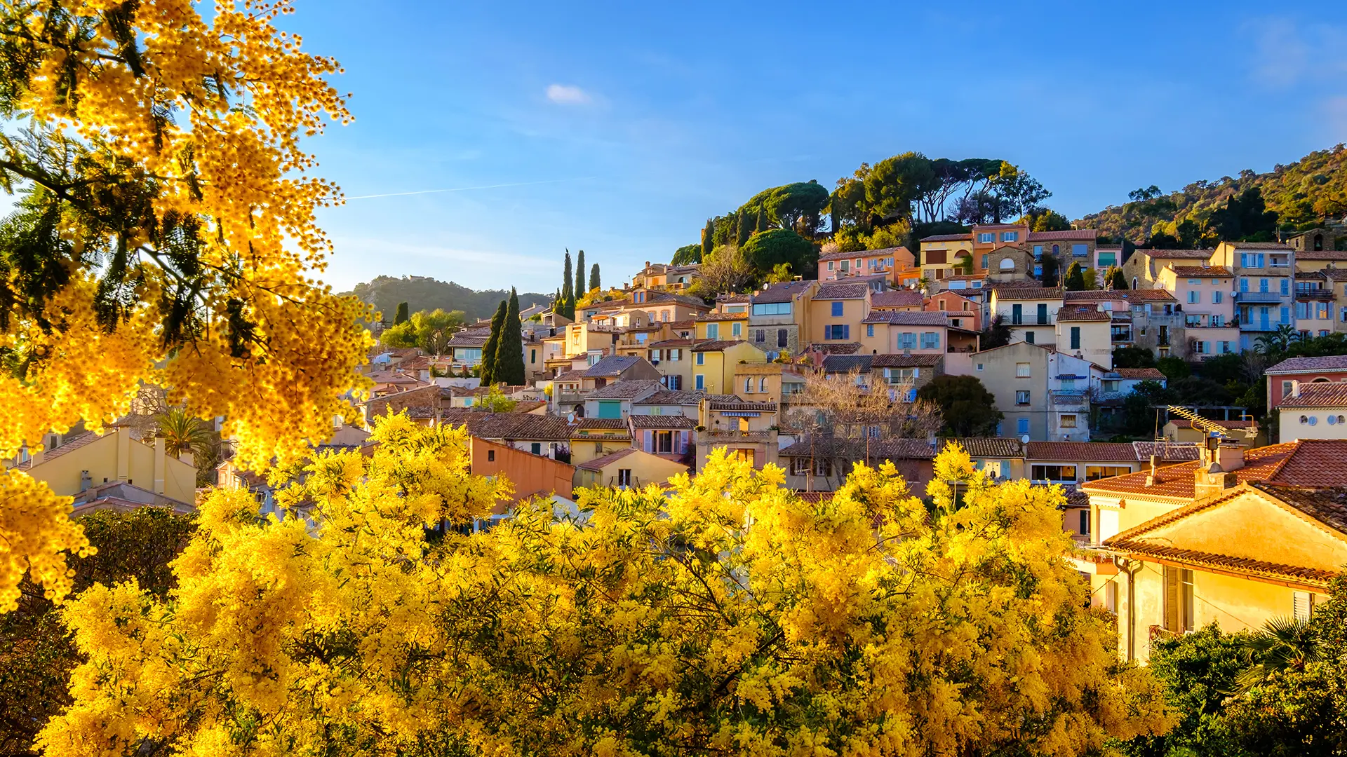 Hilios Tours : Journée sur-mesure_Bandol