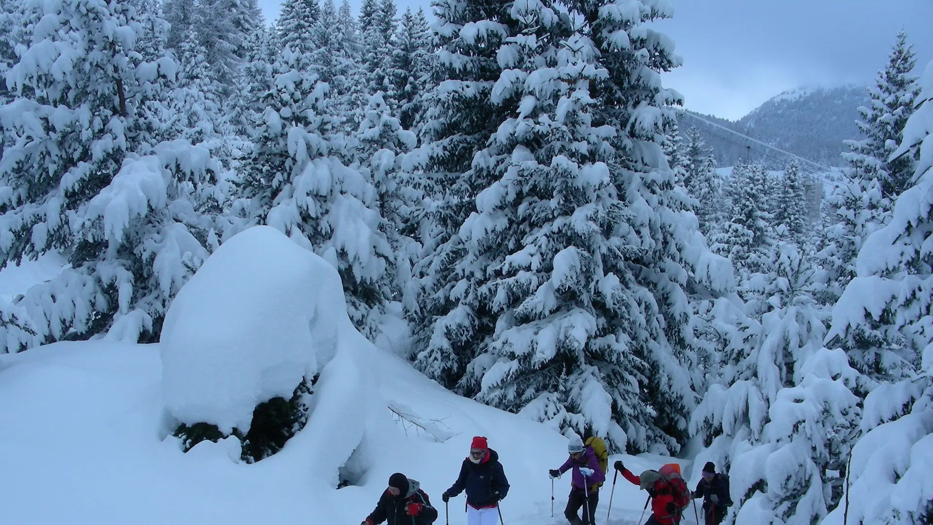 Sortie raquettes avec Michel Manini, Dévoluy, Hautes-Alpes