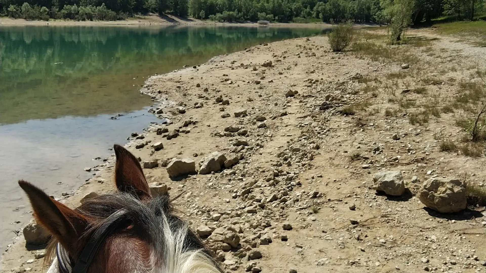 Balade au bord  du lac