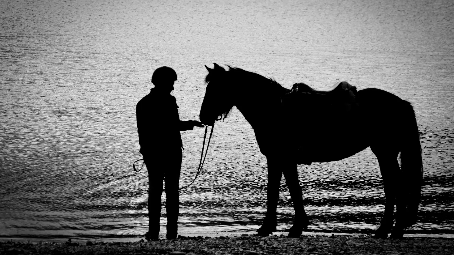 Noir et blanc - au bord du lac