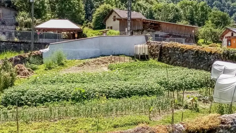 Vue depuis chambres sur potager extérieur des propriétaires