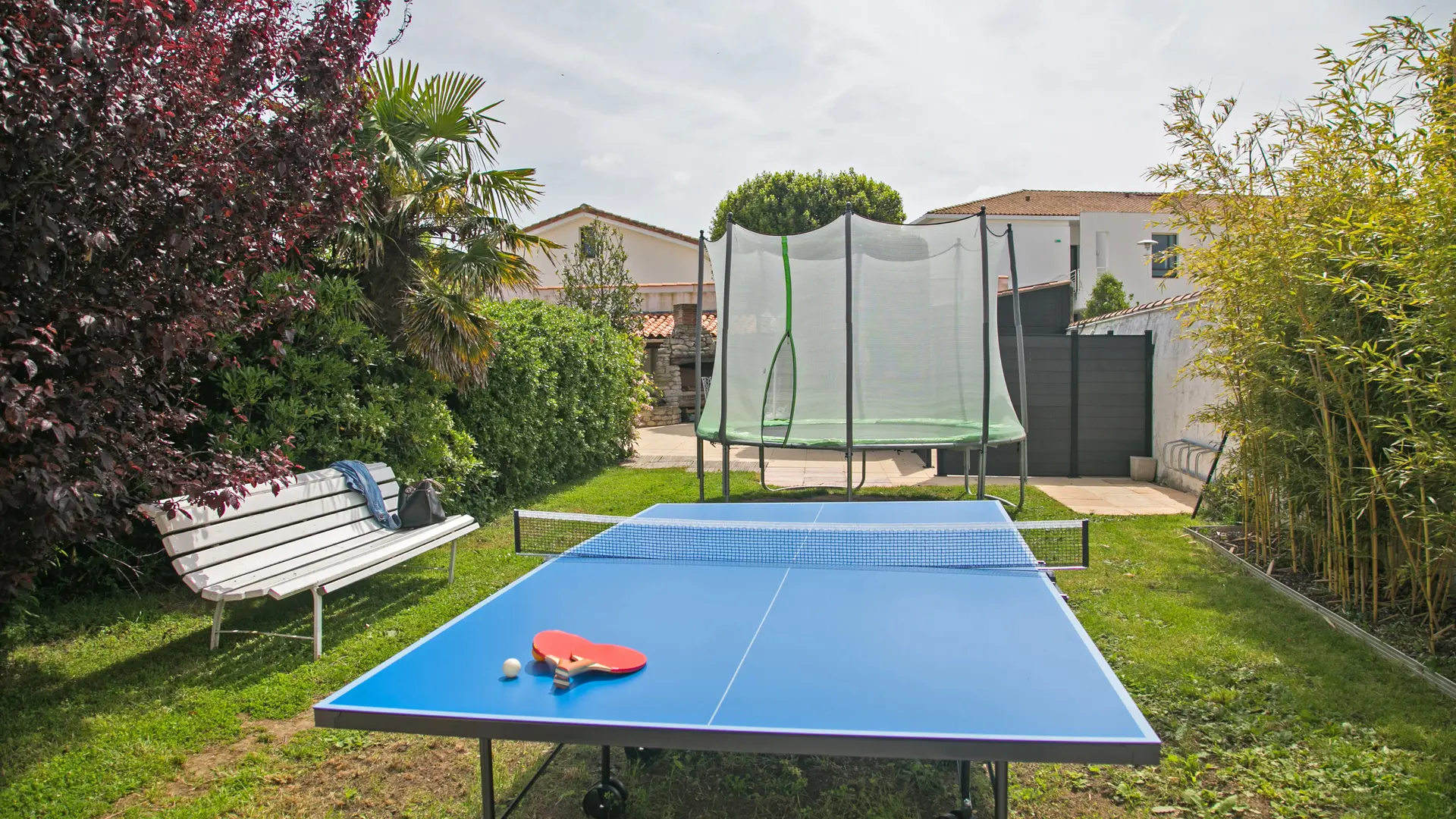 Tennis de table