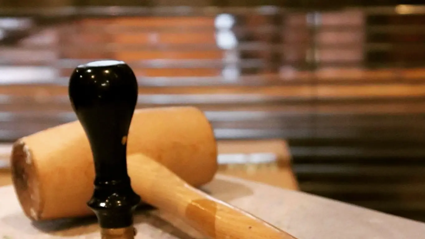 Le Savonnier des Calanques