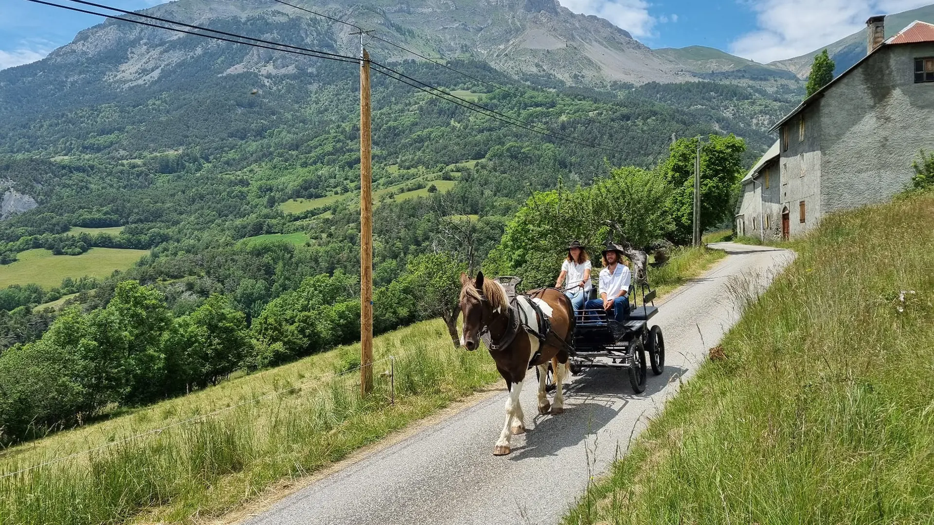 Les Crinières des Cimes