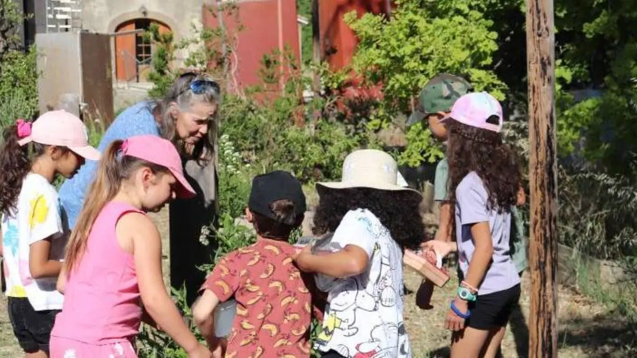 Explorateur de la ferme_Sarrians