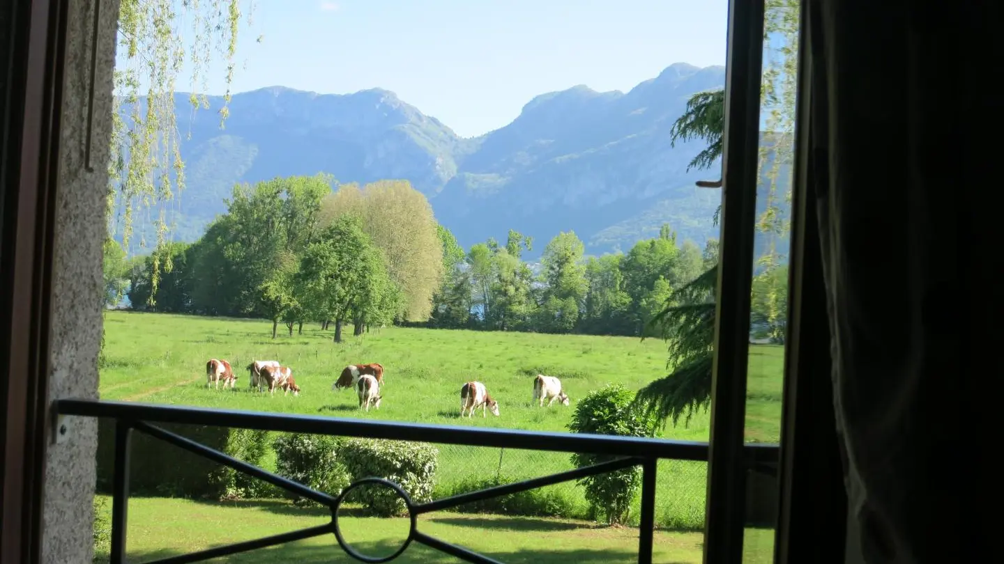 vue de la chambre du haut ,le lac est derrière les arbres...